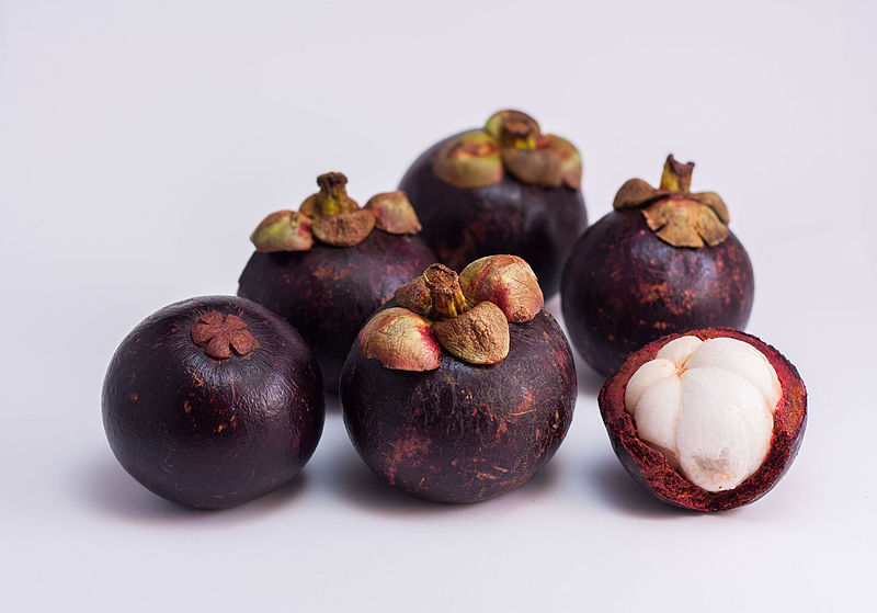 Garcinia mangostana (Purple Mangosteen) Flowerceutica